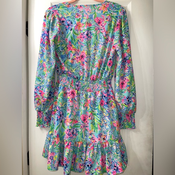 Lilly Pulitzer Christiana Stretch Dress Size 4 - Picture 7 of 7